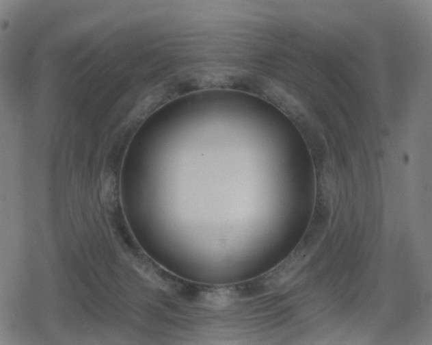 X0000078290079200611101119