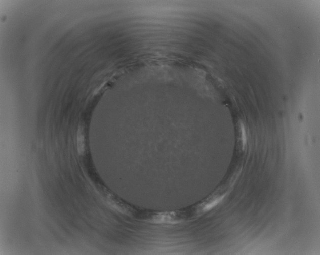 X0000078290080200611101119