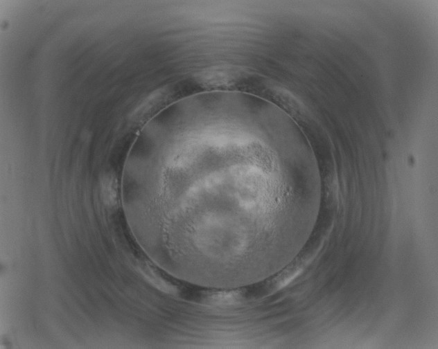 X0000078290081200611101119