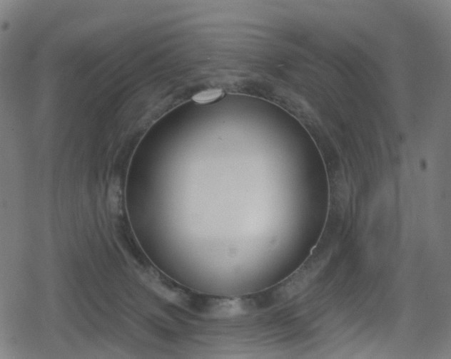 X0000078290083200611101119