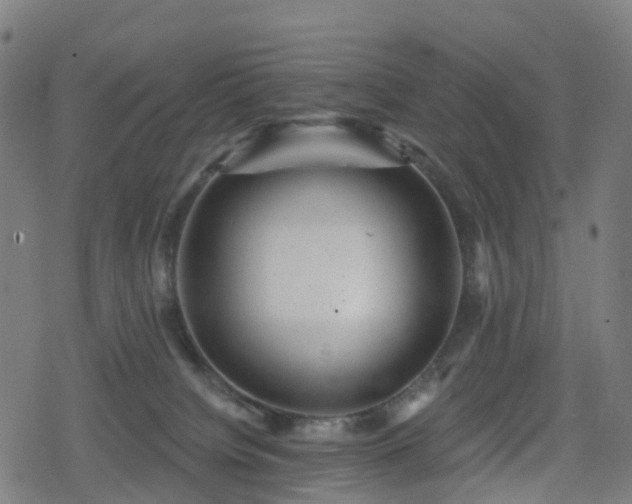 X0000078290084200611101119