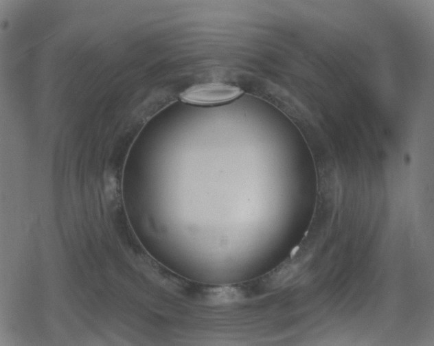 X0000078290087200611101119