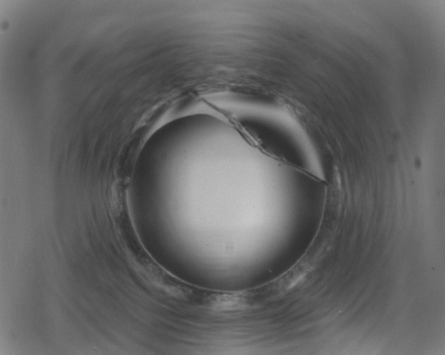 X0000078290088200611101119