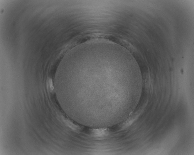 X0000078290089200611101119