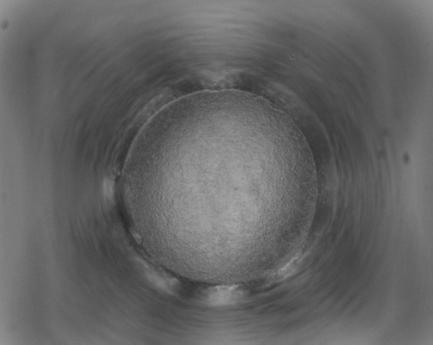 X0000078290090200611101119