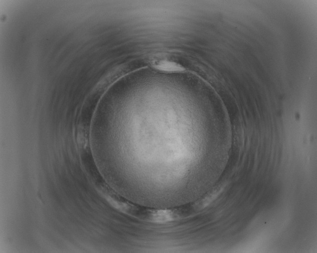 X0000078290091200611101119