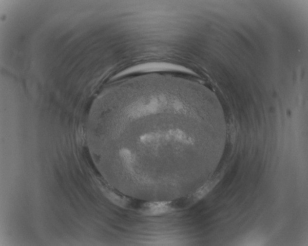 X0000078290093200611101119