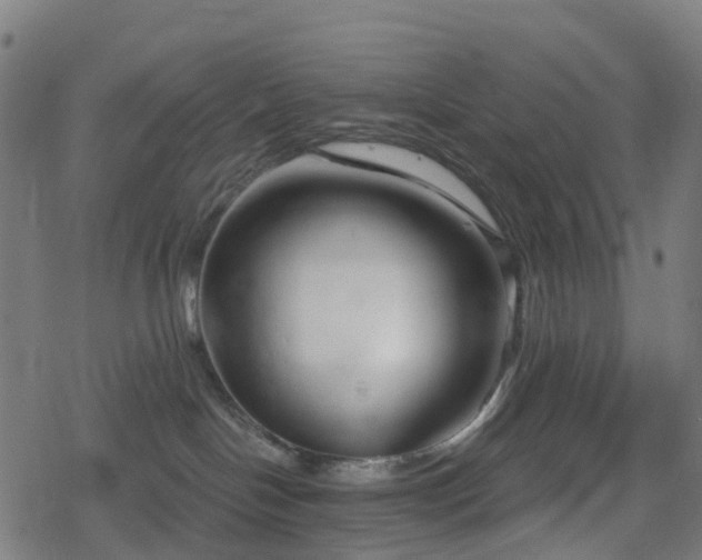 X0000078290094200611101119