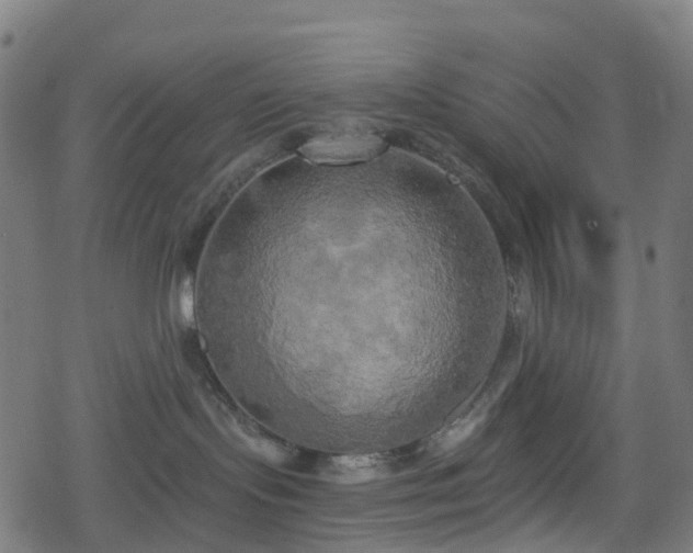 X0000078290095200611101119