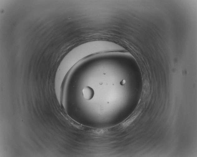 X0000078290096200611101119