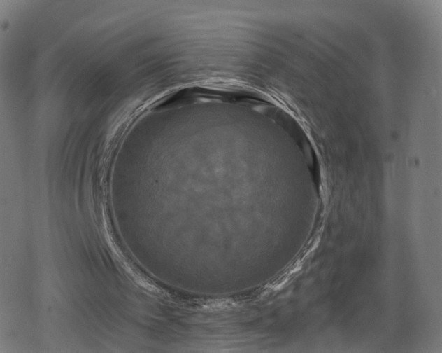 X0000078290097200611101118