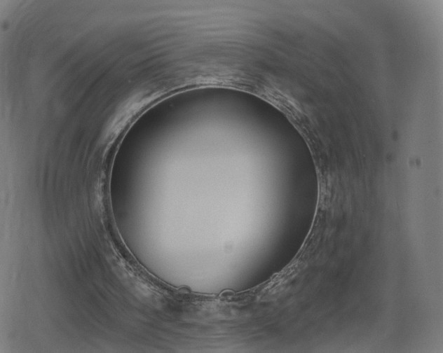 X0000078290098200611101118