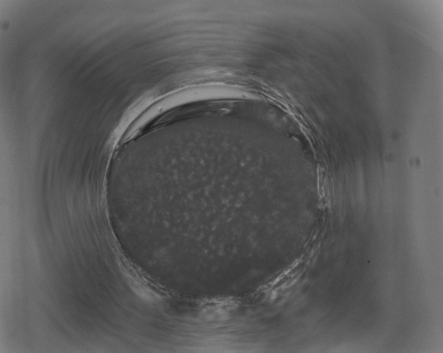 X0000078290099200611101118