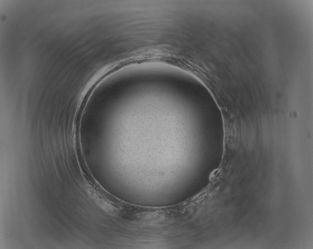 X0000078290100200611101118