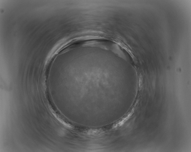 X0000078290101200611101118