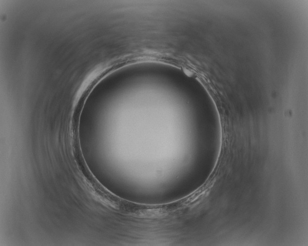 X0000078290102200611101118