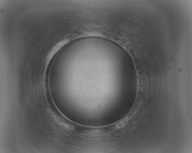 X0000078290104200611101118