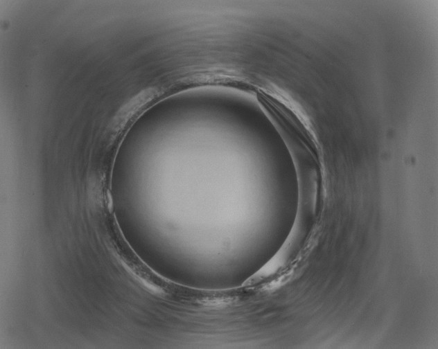 X0000078290105200611101118