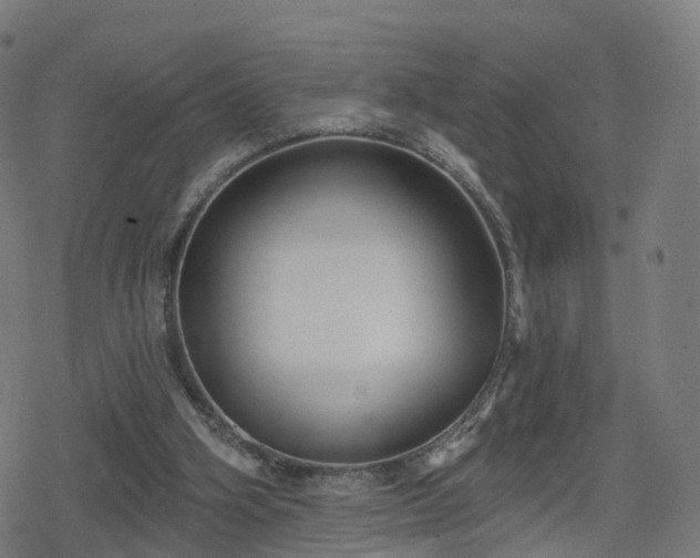 X0000078290106200611101118