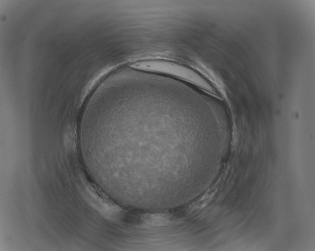 X0000078290107200611101118