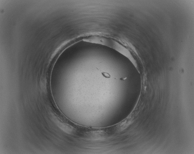 X0000078290108200611101118