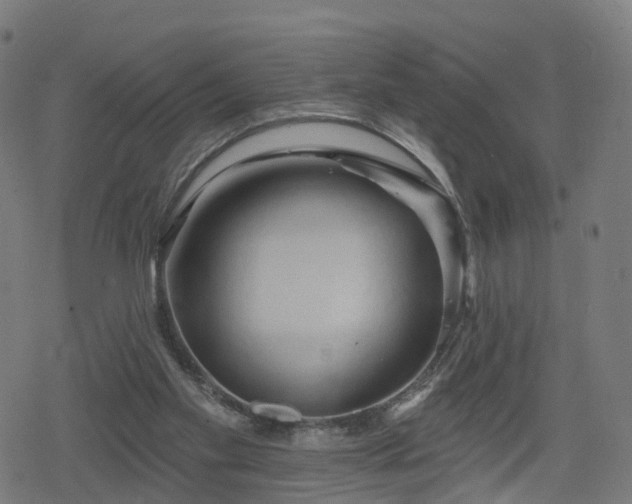 X0000078290109200611101118