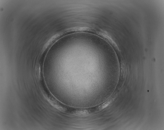 X0000078290110200611101118