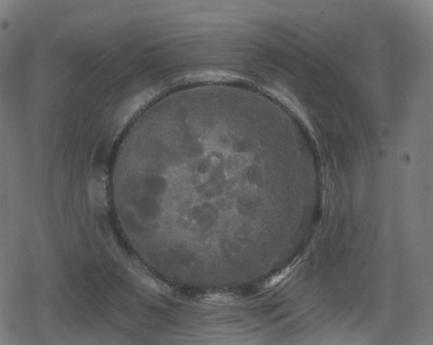 X0000078290111200611101118