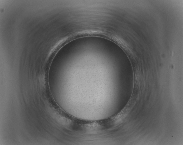 X0000078290112200611101118