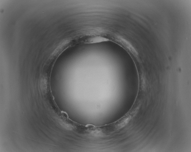 X0000078290113200611101118