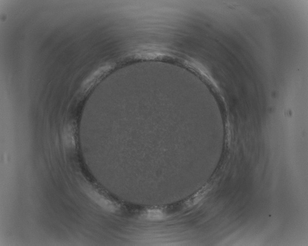 X0000078290114200611101118