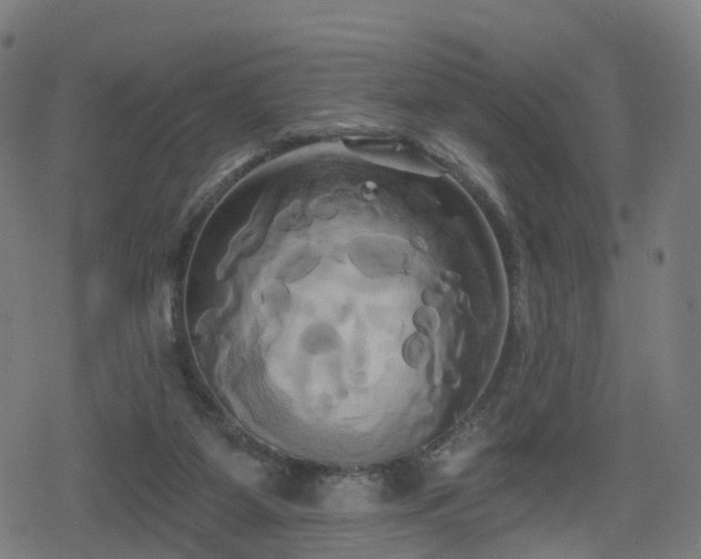 X0000078290115200611101118