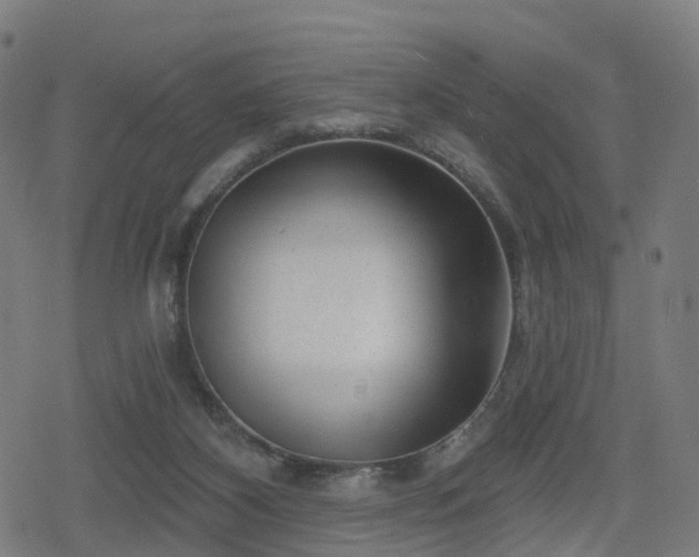 X0000078290116200611101118