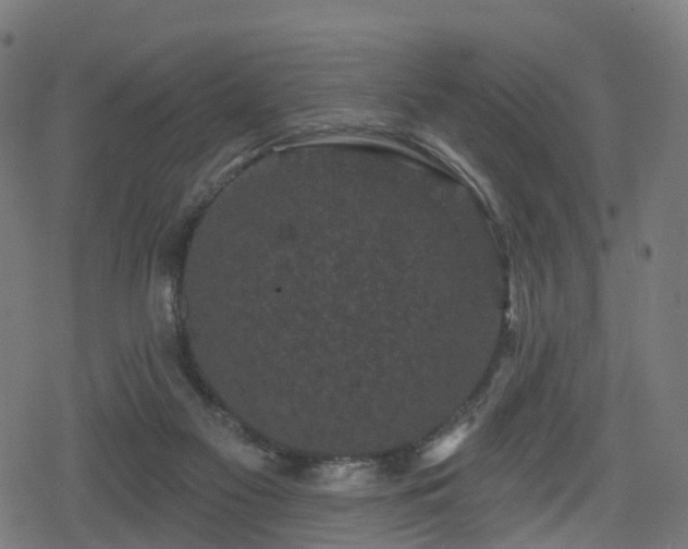 X0000078290117200611101118