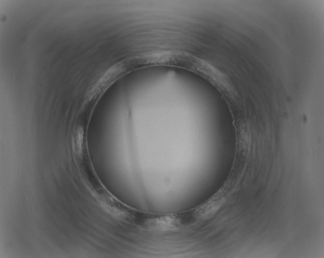 X0000078290118200611101118