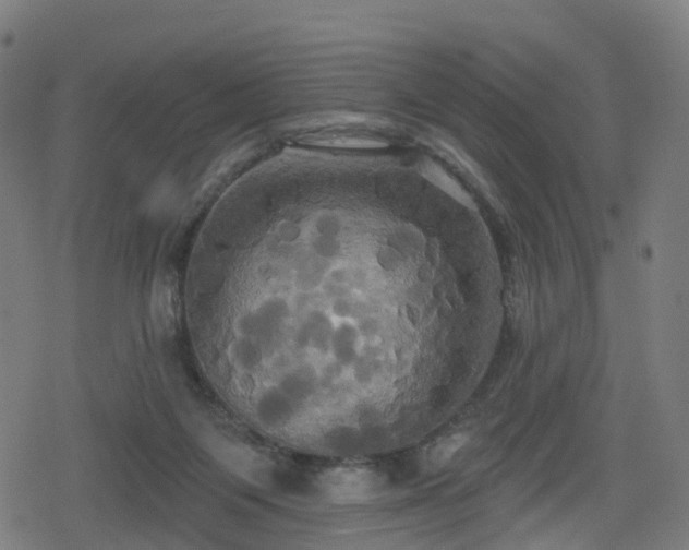 X0000078290119200611101118