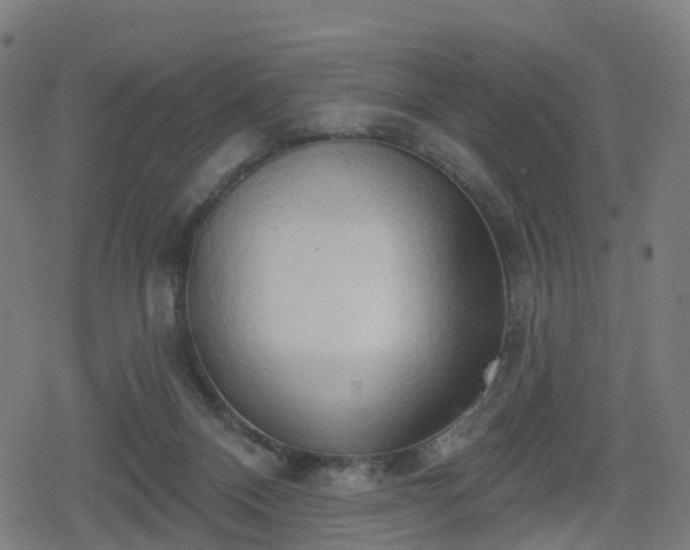 X0000078290120200611101118