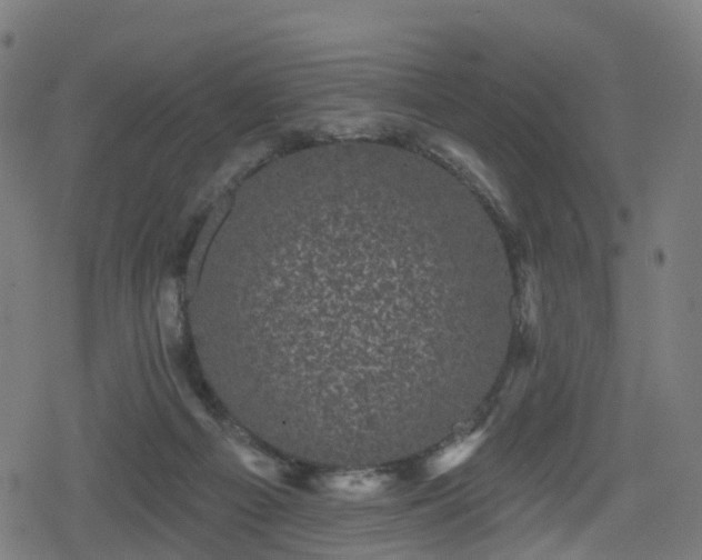 X0000078290121200611101118