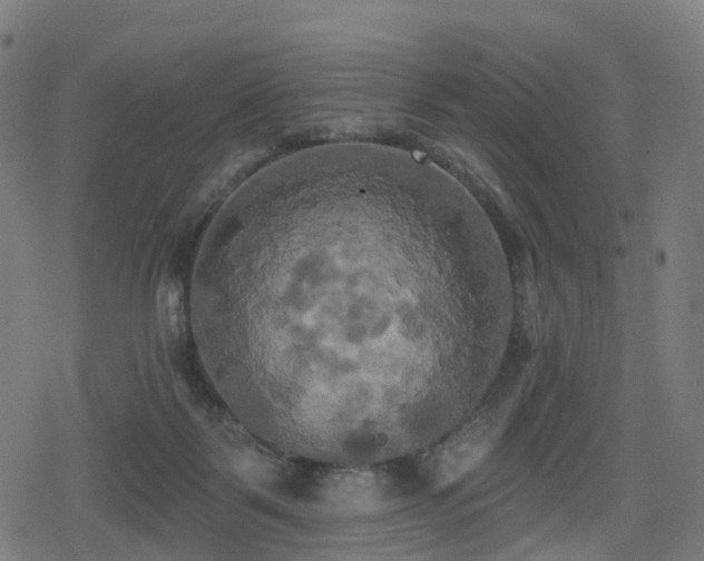 X0000078290123200611101118