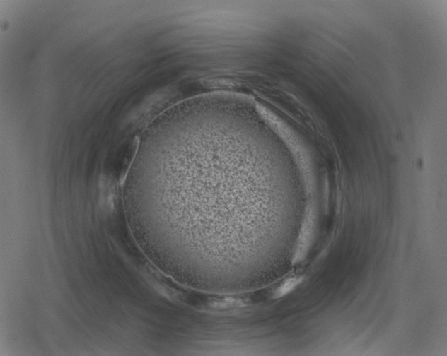 X0000078290125200611101118