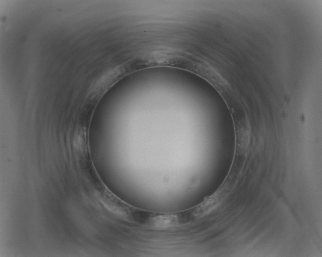 X0000078290126200611101118