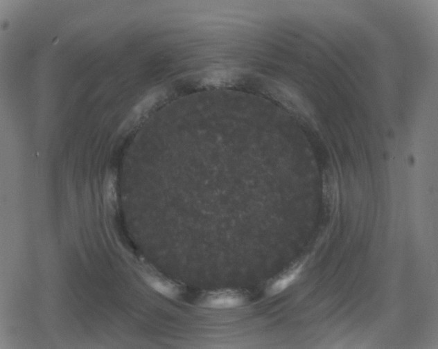 X0000078290127200611101118