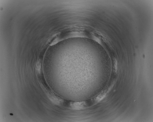 X0000078290129200611101118