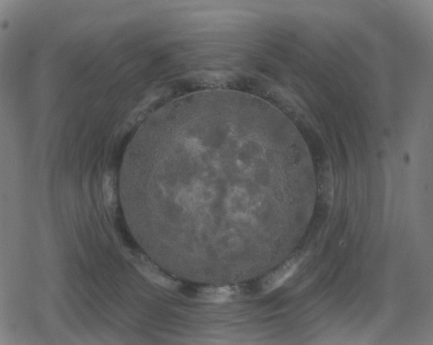 X0000078290131200611101118