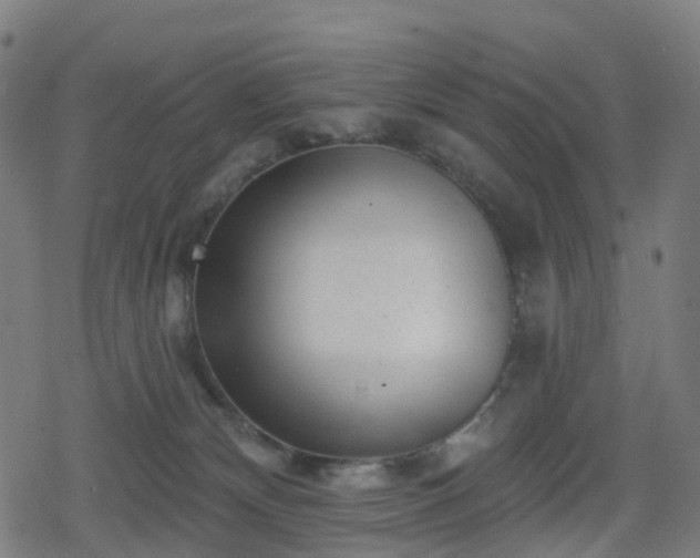 X0000078290132200611101118