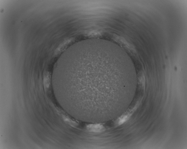 X0000078290133200611101118