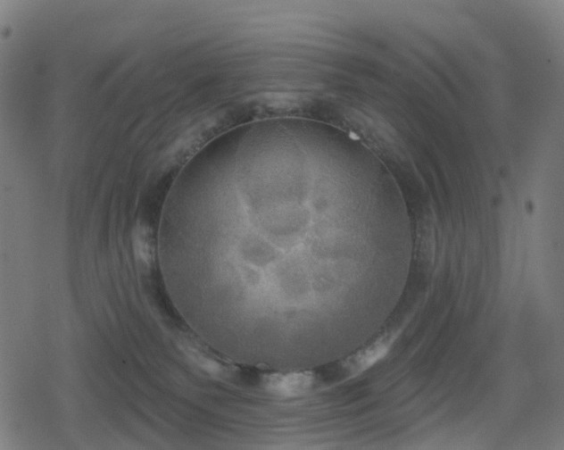 X0000078290135200611101118