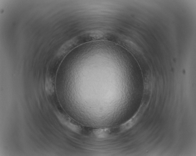 X0000078290136200611101118