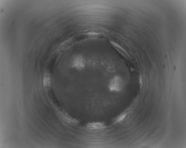 X0000078290137200611101118