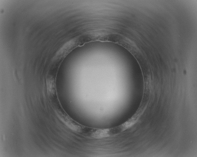 X0000078290138200611101118